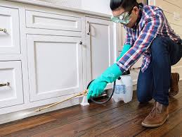 Best Residential Pest Control  in Fairless Hills, PA